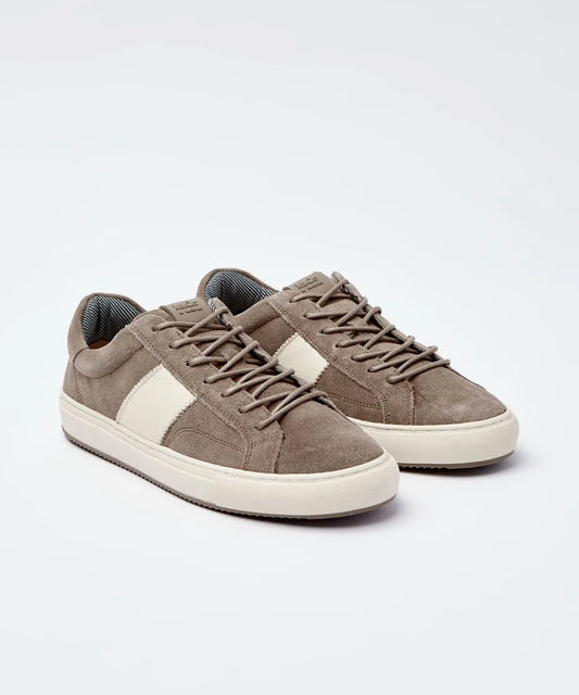 Sneaker WE San Diego Castor